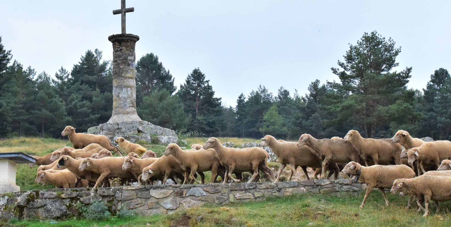 La Venta de Piqueras ha acogido esta tradicional cita