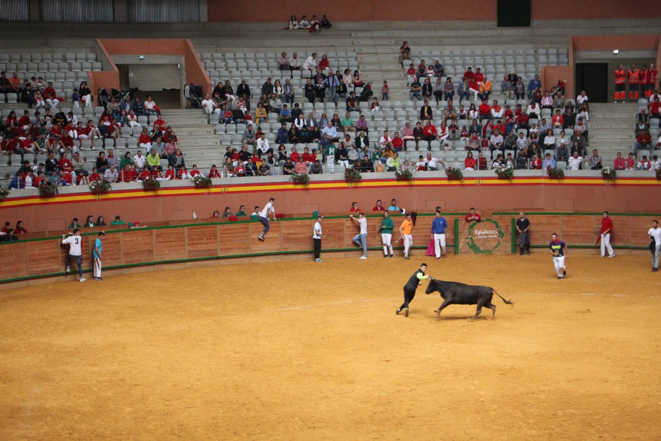 Las imágenes de la jornada festiva en la localidad