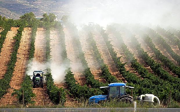El glifosato es uno de los herbicidas más empleados en todo el mundo. 