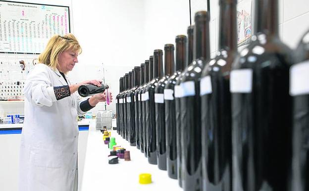 Análisis de muestras en el laboratorio de Viñedos de Aldeanueva