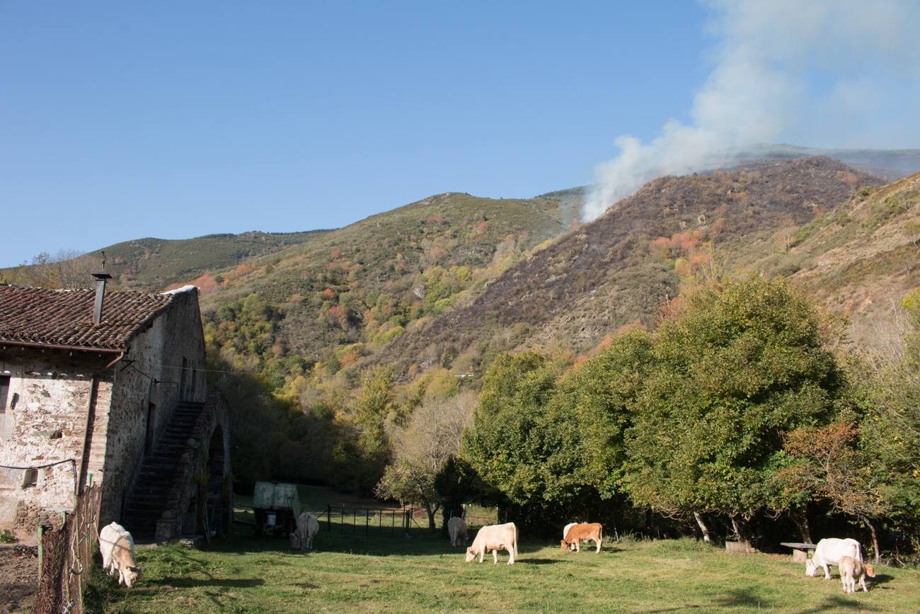 Un incendio que comenzó en la noche del pasado jueves ha calcinado decenas de hectáreas de monte en la aldea de Posadas