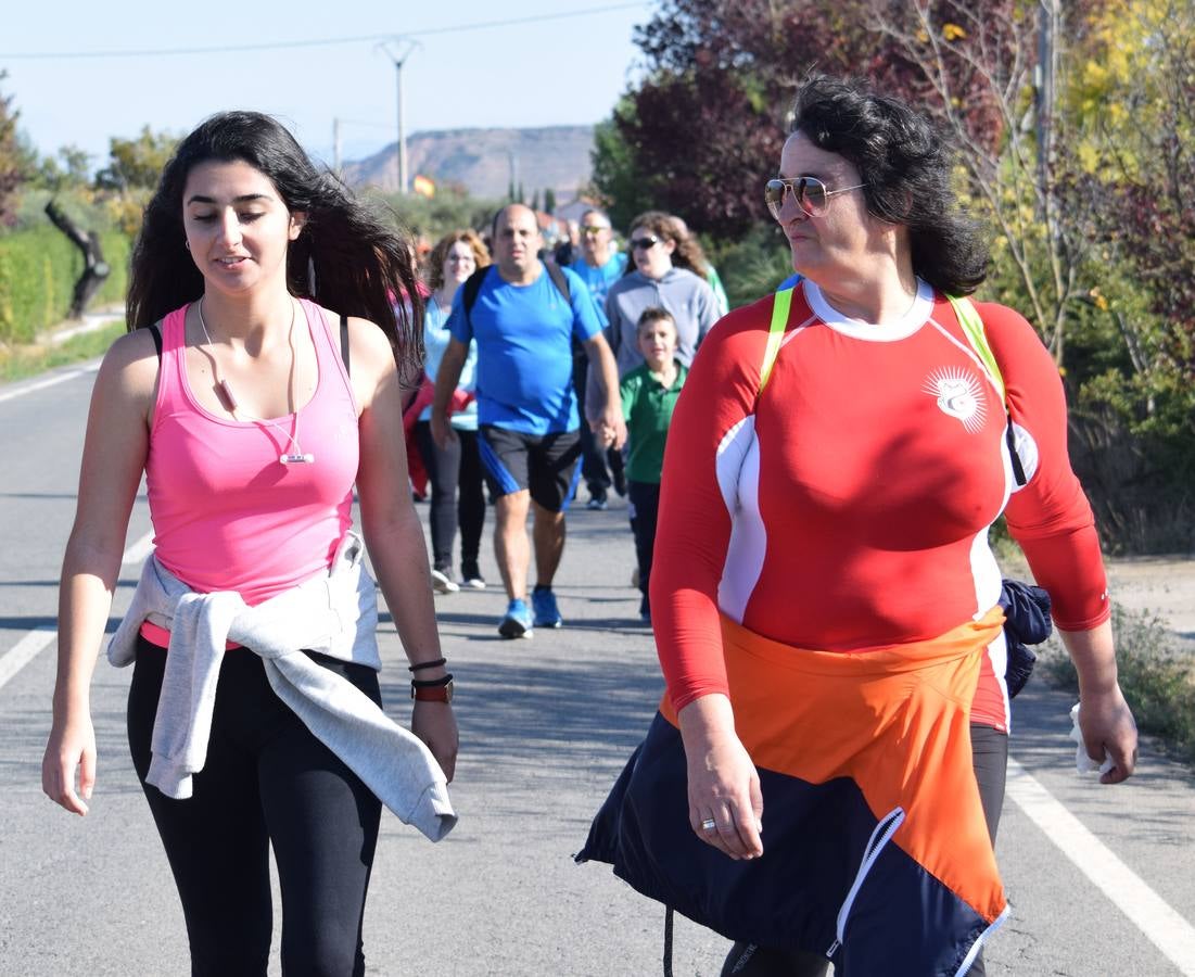 iel a su cita con la solidaridad, la tradicional marcha ASPACE ha echado a andar este domingo, 29 de octubre, desde el polideportivo municipal de Las Gaunas con la participación de alrededor de 3.000 personas que han querido apoyar esta iniciativa que pretende concienciar a la sociedad riojana sobre la realidad de las personas con parálisis cerebral.