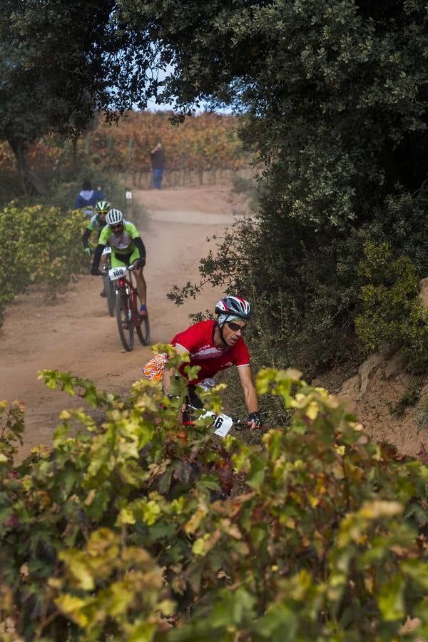 Un día magnífico ha acompañado a la celebración este domingo de la Duatlón de Moncalvillo, que ha dejado escenas preciosas