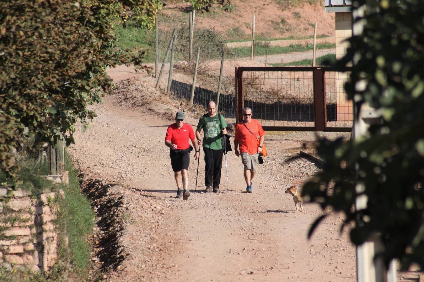 Unas 350 personas participan en la tercera Marcha del Camino del Rey