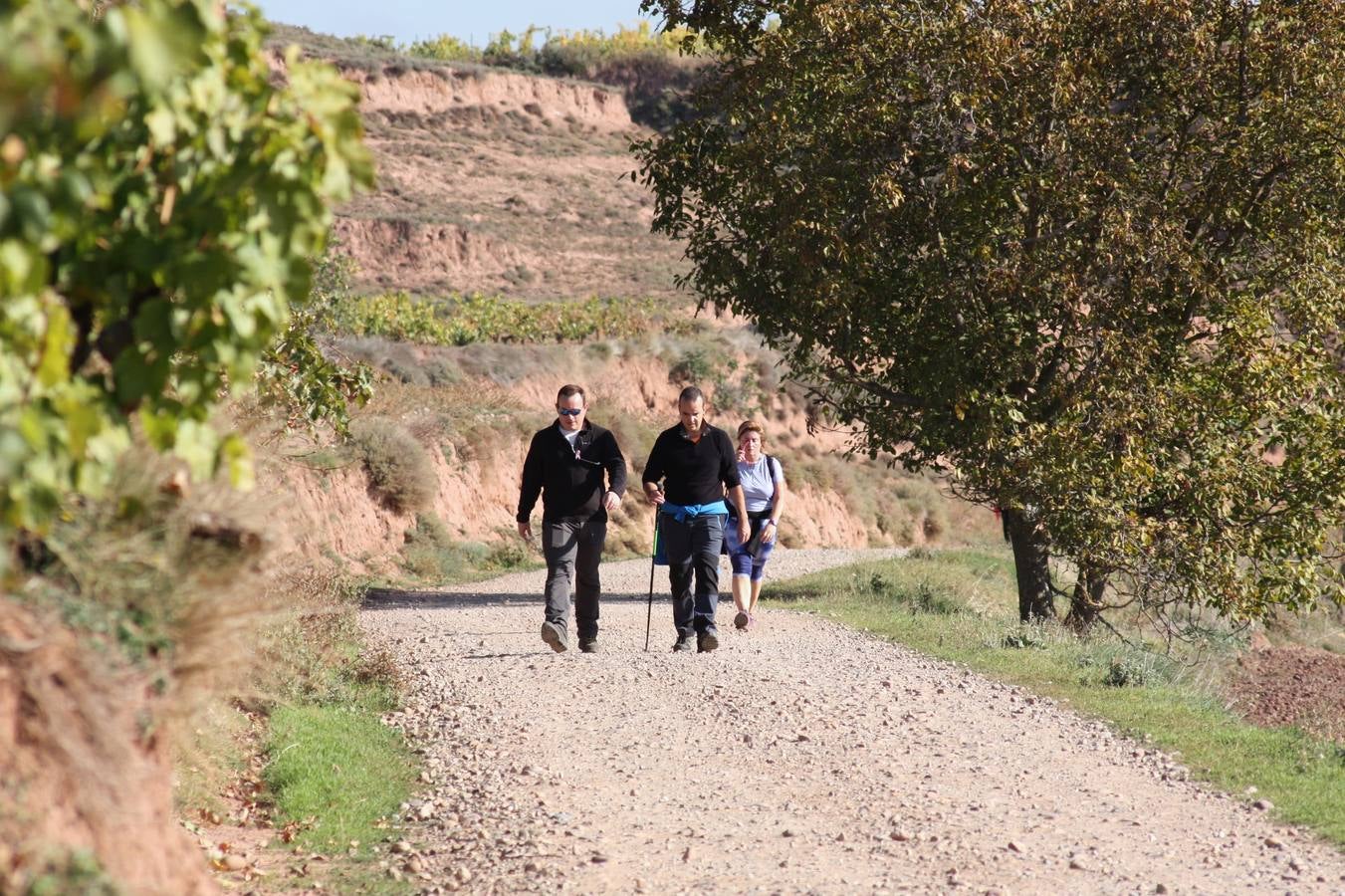 Unas 350 personas participan en la tercera Marcha del Camino del Rey