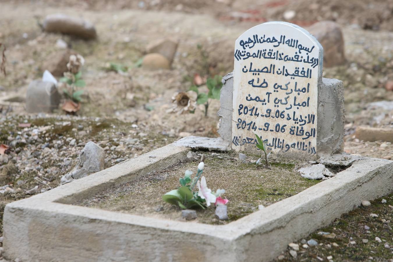 El cementerio de Logroño vivió una poco habitual abundante asistencia en el día de todos los santos 