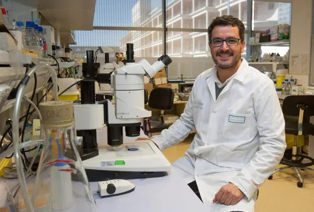 Marcos Vilariño, en su laboratorio del CIBIR.