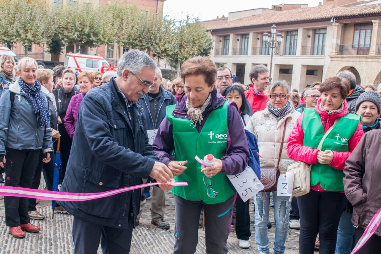 El acto ha sido a beneficio de la Asociación Española Contra el Cáncer en La Rioja