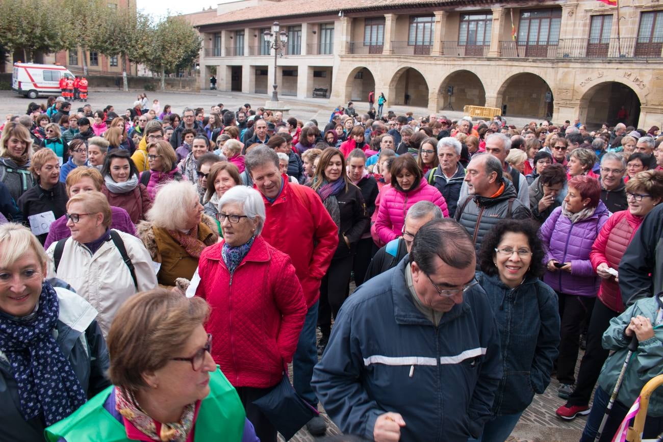 El acto ha sido a beneficio de la Asociación Española Contra el Cáncer en La Rioja