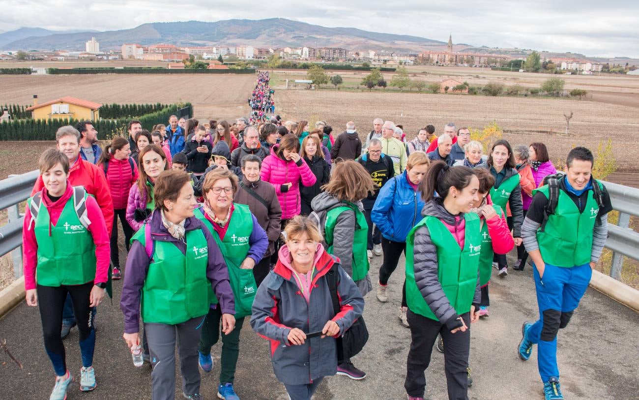 El acto ha sido a beneficio de la Asociación Española Contra el Cáncer en La Rioja