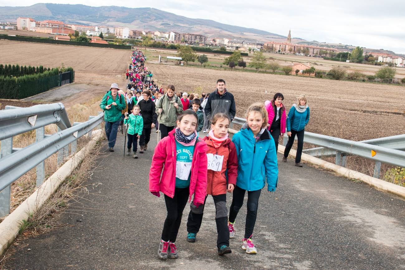 El acto ha sido a beneficio de la Asociación Española Contra el Cáncer en La Rioja