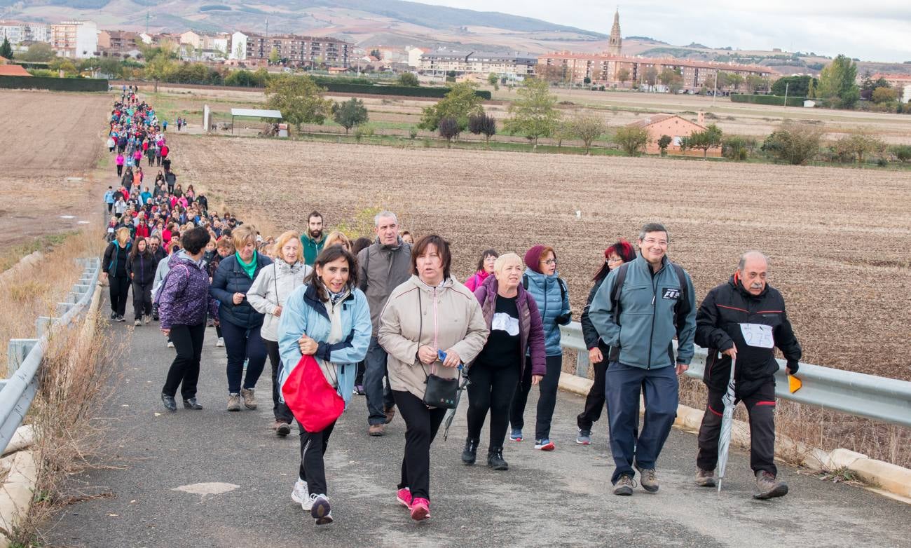 El acto ha sido a beneficio de la Asociación Española Contra el Cáncer en La Rioja