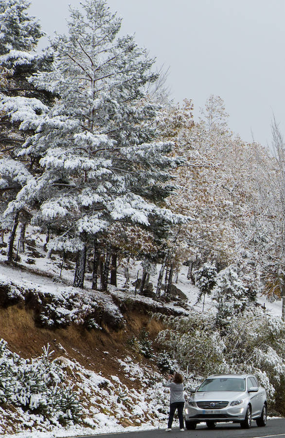 La nieve empieza a dominar el terreno y a rodear el valle riojano. La Rioja empieza a lucir un manto blanco muy esperado dada la sequía reinante en el campo. «La nieve es la sangre de la tierra», dicen los veteranos que viven en las zonas rurales de montaña