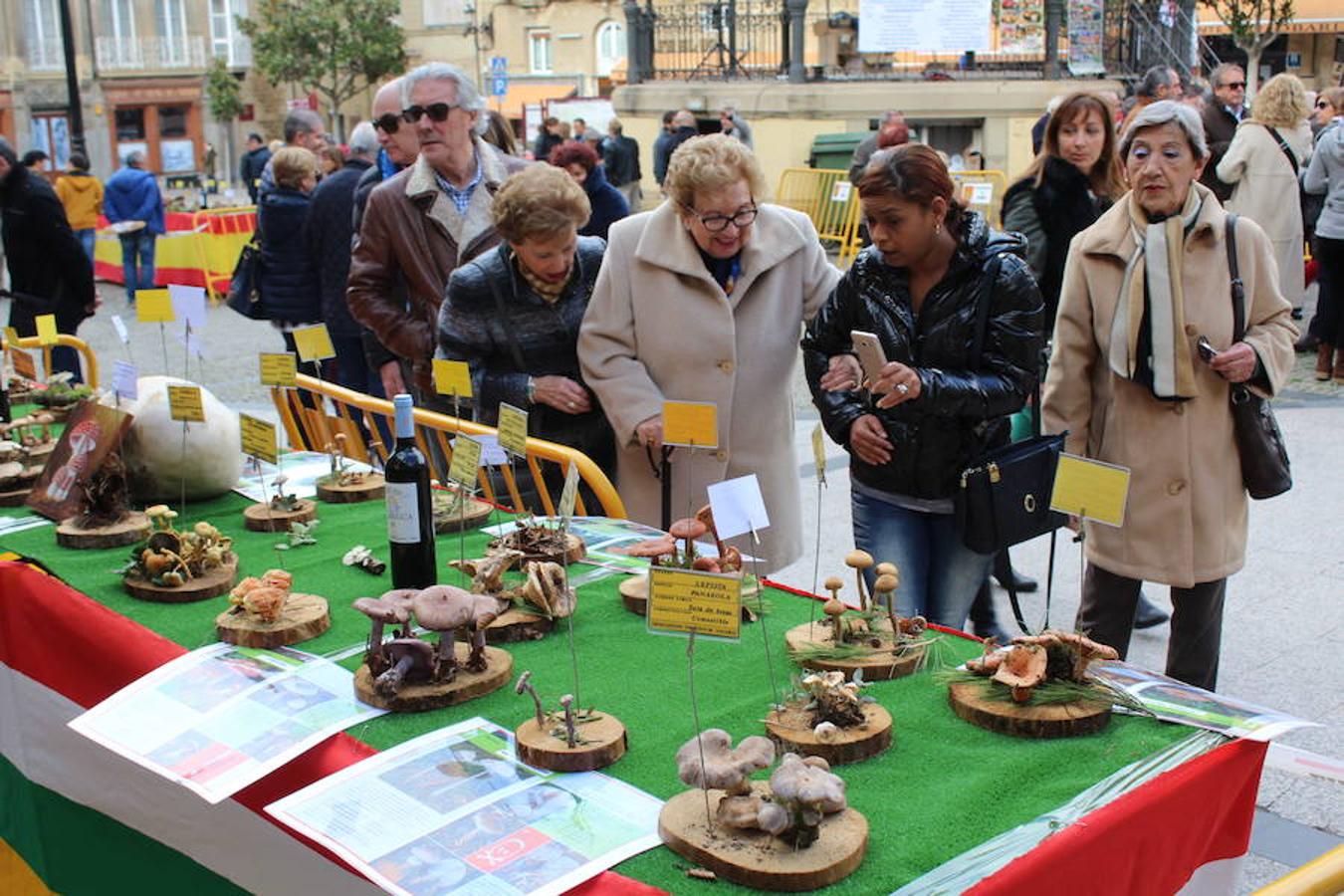 Haro disfurta de la bondad de sus campos y la generosidad de sus arboledas en las jornadas micológicas. La salida, la recolección y la posterior exhibición se unen a una interesante oferta gastronómica en la localidad jarrera donde setas y hongos son protagonistas absolutos