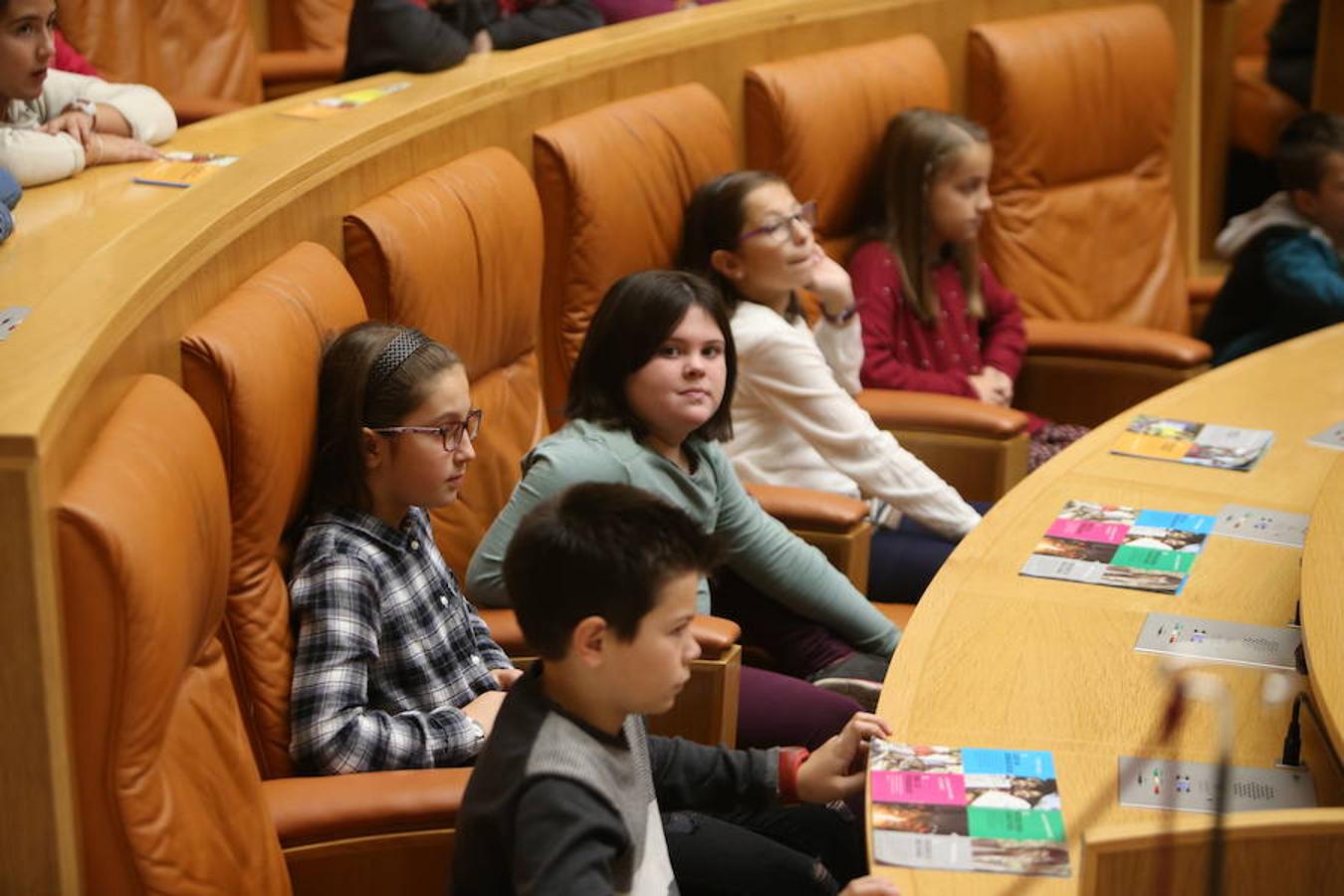 El Día Universal del Niño, organizado por Unicef, se ha celebrado en el Parlamento regional con la participación de un grupo de alumnos del colegio San Fernando de Nájera, quienes han leído los principios de la Convención de los Derechos del Niño