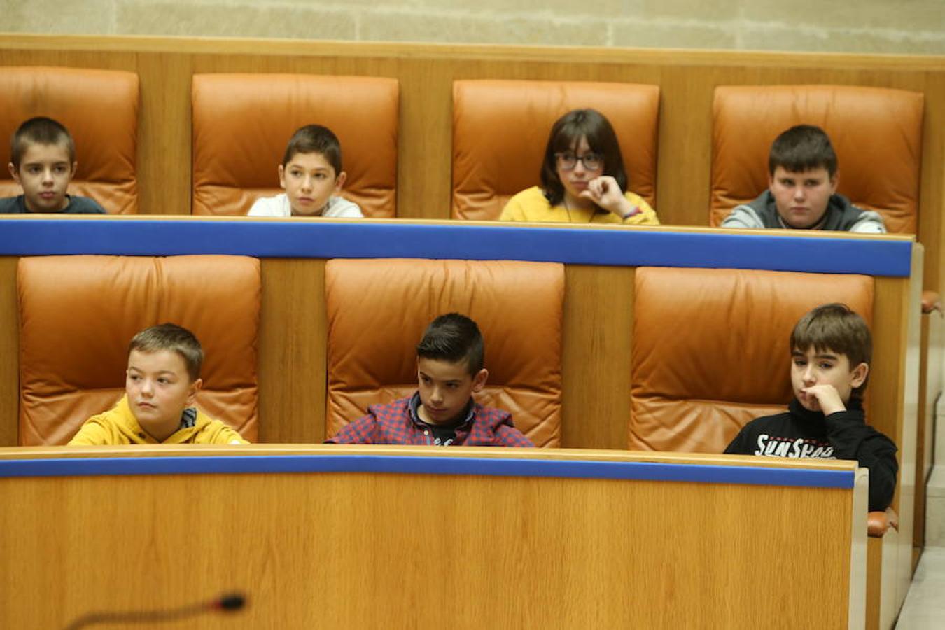 El Día Universal del Niño, organizado por Unicef, se ha celebrado en el Parlamento regional con la participación de un grupo de alumnos del colegio San Fernando de Nájera, quienes han leído los principios de la Convención de los Derechos del Niño
