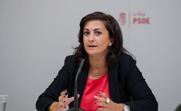 El PSOE llevará a Ceniceros al Pleno a hablar de infraestructuras