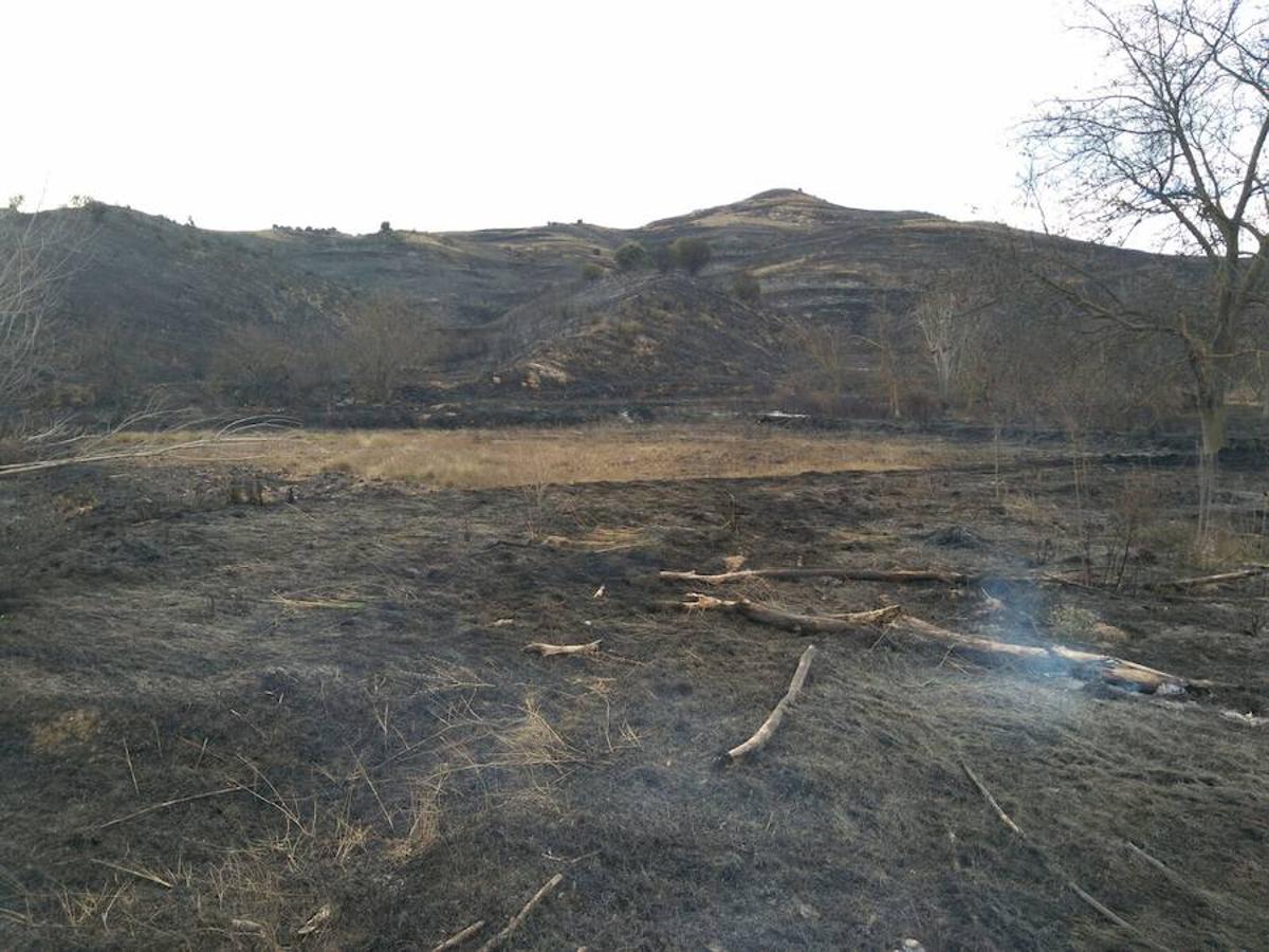 El incendio de Gutur ya ha sido extinguido. No ha sido una noche fácil para los servicios de lucha contra el fuego de La Rioja. El fuego ha afectado a una zona amplia de monte bajo. Se sospecha que el incendio ha sido provocado. La sequía se encarga del resto.