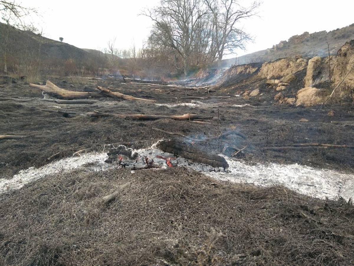 El incendio de Gutur ya ha sido extinguido. No ha sido una noche fácil para los servicios de lucha contra el fuego de La Rioja. El fuego ha afectado a una zona amplia de monte bajo. Se sospecha que el incendio ha sido provocado. La sequía se encarga del resto.