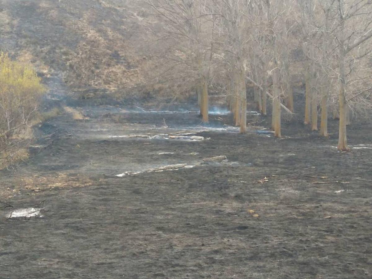 El incendio de Gutur ya ha sido extinguido. No ha sido una noche fácil para los servicios de lucha contra el fuego de La Rioja. El fuego ha afectado a una zona amplia de monte bajo. Se sospecha que el incendio ha sido provocado. La sequía se encarga del resto.