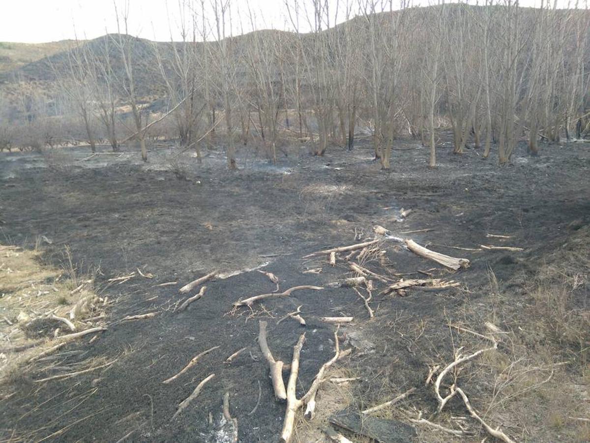 El incendio de Gutur ya ha sido extinguido. No ha sido una noche fácil para los servicios de lucha contra el fuego de La Rioja. El fuego ha afectado a una zona amplia de monte bajo. Se sospecha que el incendio ha sido provocado. La sequía se encarga del resto.