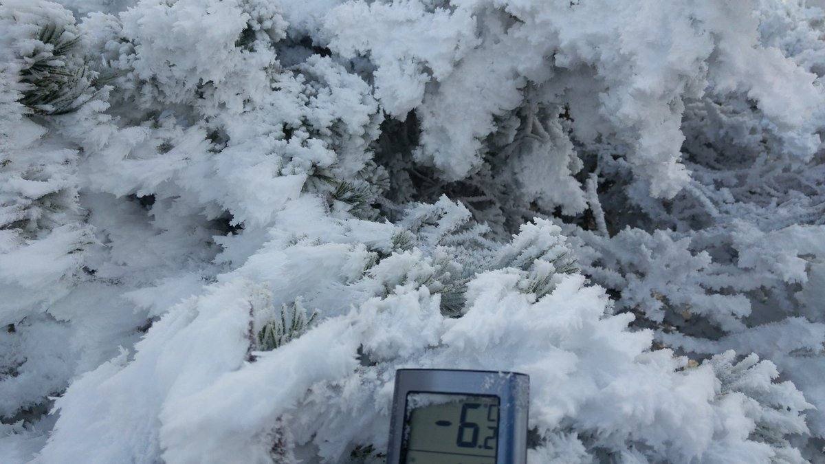 Espectacular cencellada en el límite entre Duruelo, Soria, y La Rioja. A 1950 metros en Urbión. Hasta -6.4 ha marcado el termómetro, con rachas de Norte de unos 50 km/h. 