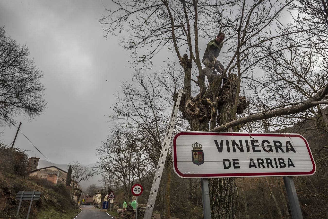 Llega el frío a La Rioja y viene acompañado de la nieve