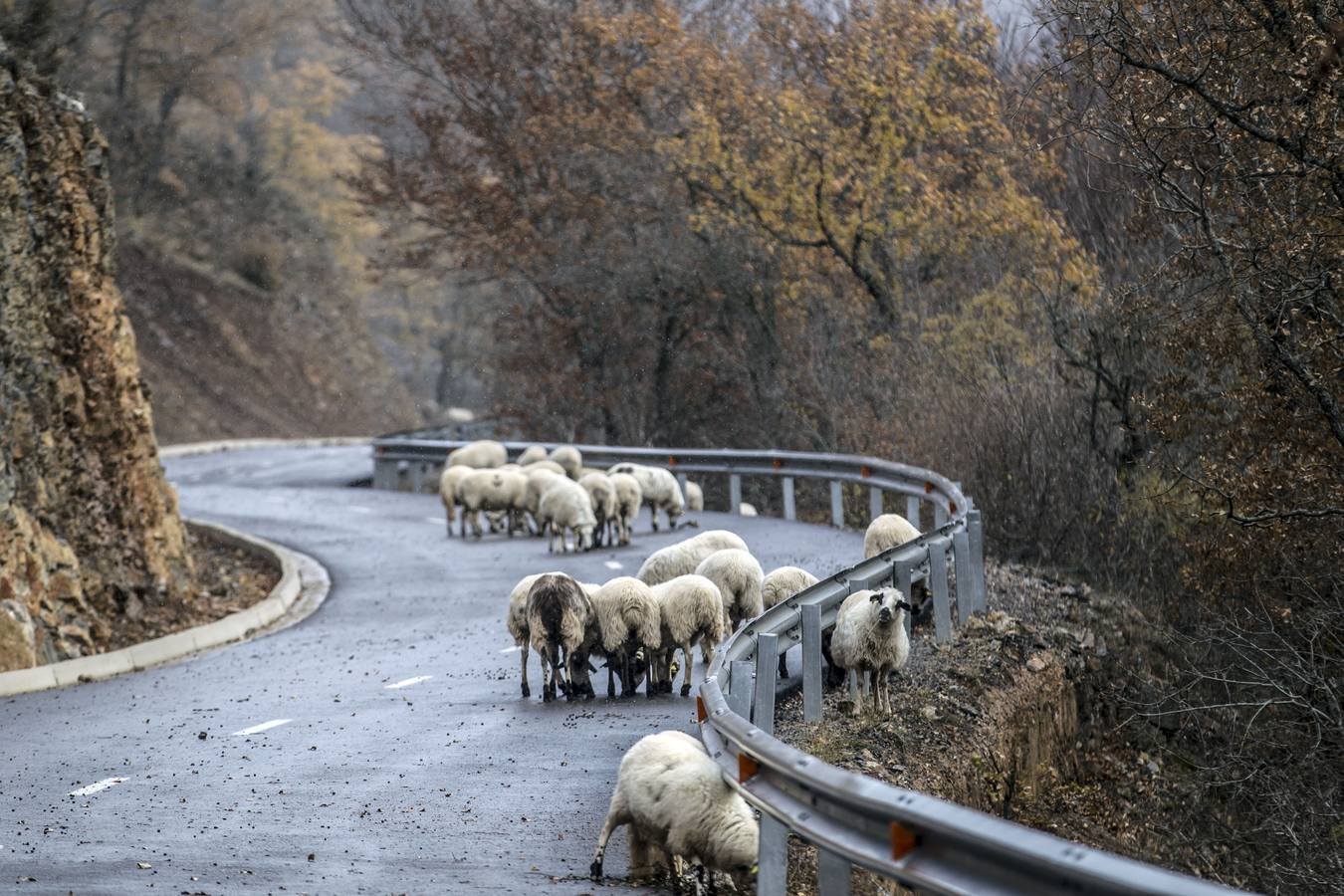 Llega el frío a La Rioja y viene acompañado de la nieve