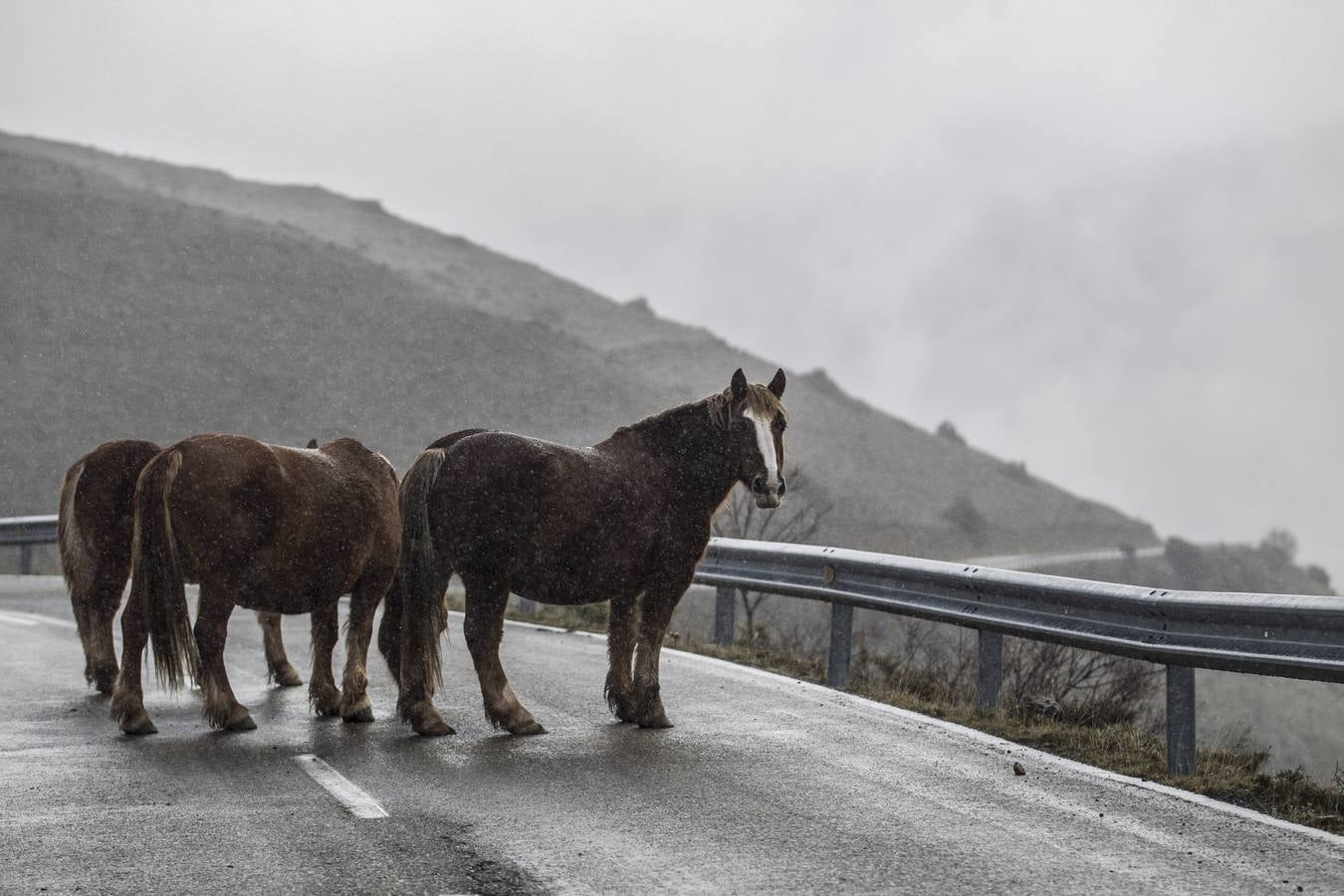 Llega el frío a La Rioja y viene acompañado de la nieve