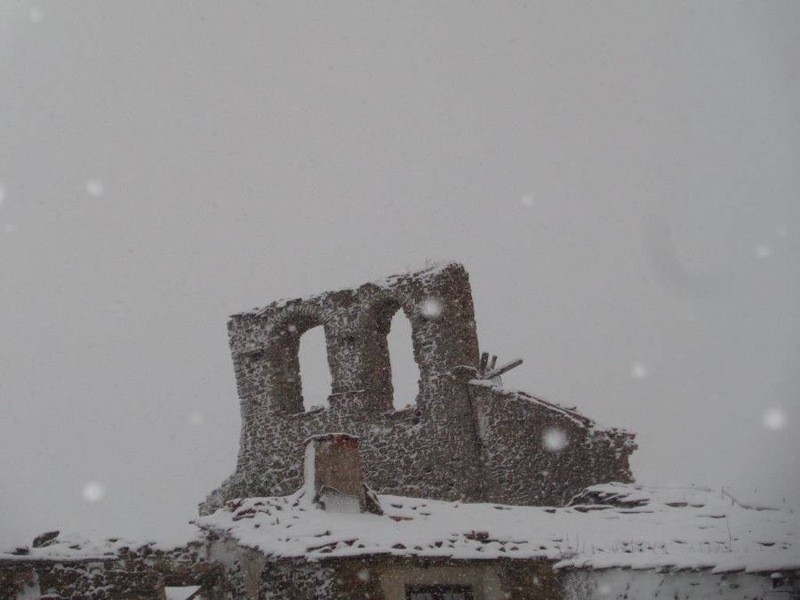 La nieve empieza a cobrar protagonismo en La Rioja y el entorno. Los lectores de larioja.com nos envían las fotos desde diferentes puntos de la región. Si quieres animarte puedes enviarnos las tuyas a través del WhatsApp 620634342