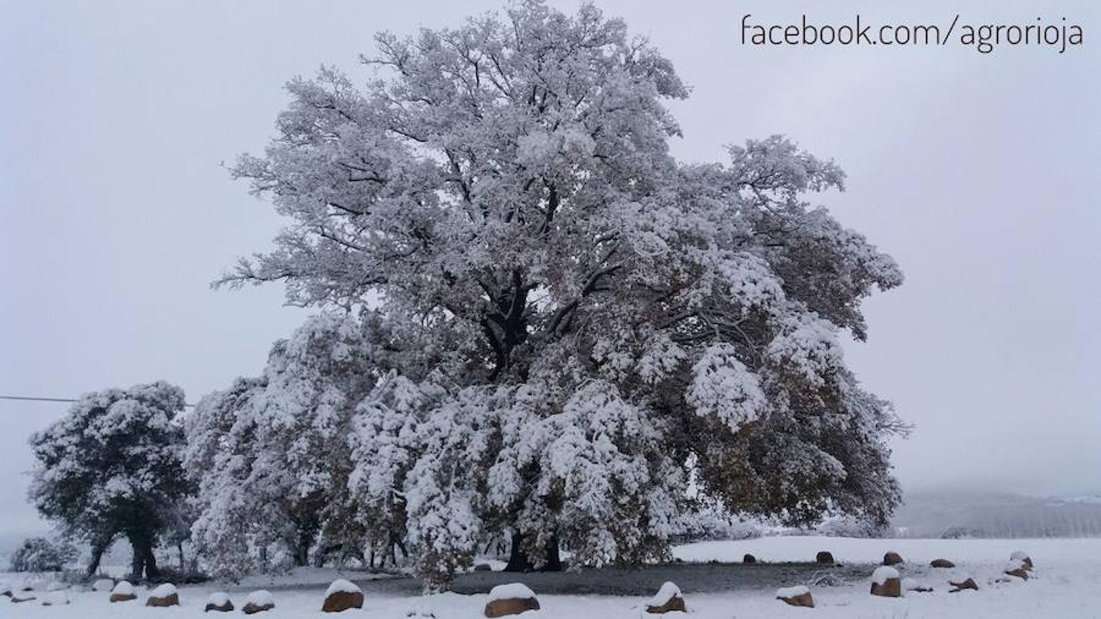 No te cortes. Seguro que se te presenta la oportunidad de mandarnos una estampa bien bonita de la nieve a lo largo de este sábado. No dudes compartirla con nosotros. Mándala al WhatsApp de larioja.com en el 620634342. Cuéntanos dónde la has hecho y tu nombre.