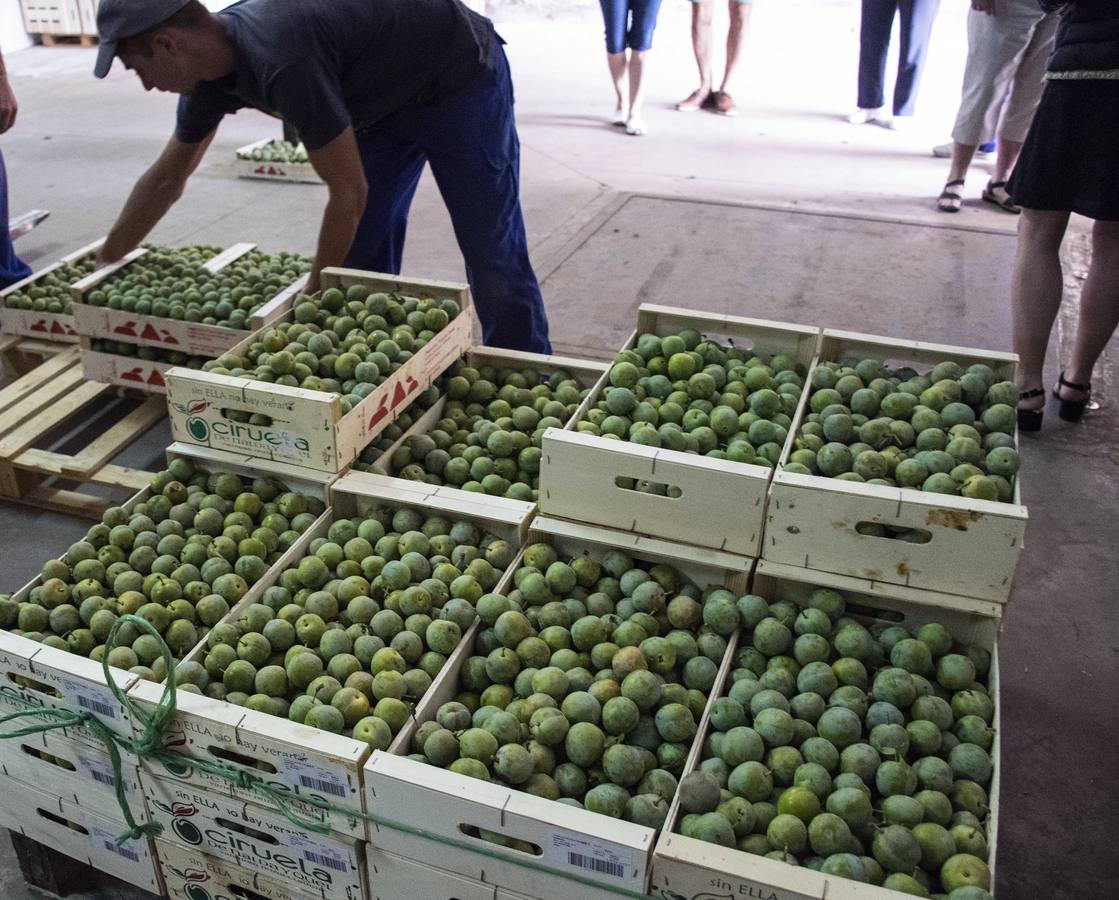 La agricultura es el único sector en el que desciende el paro