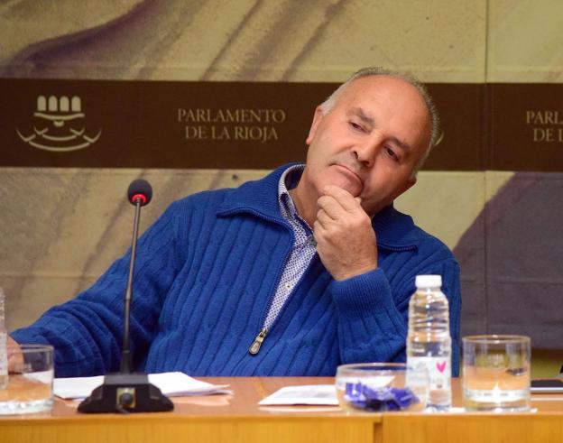Santolaya, ayer durante su comparecencia ante la comisión de investigación del Parlamento. :: miguel herreros