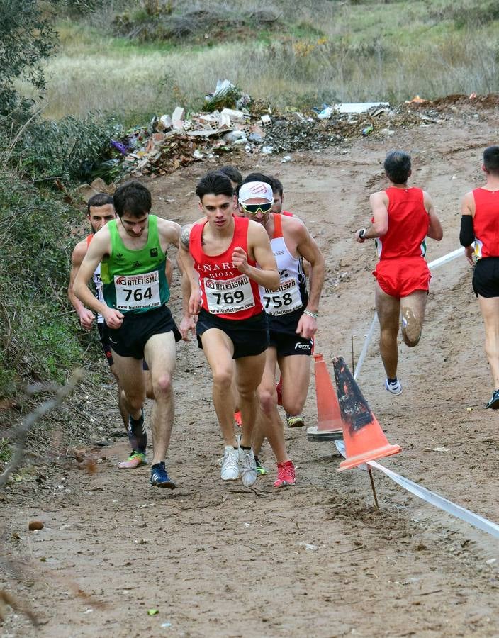 El entorno de las piscinas de Nalda albergó el circuito del Campeonato de La Rioja de Cross Corto absoluto y por clubes y la 2ª Jornada de Cross escolar, organizados por el Club de Atletismo Añares Rioja y el Ayuntamiento de Nalda e Islallana