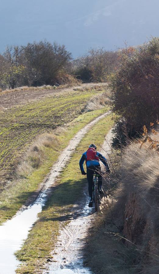 Los ciclistas disfrutaron de una estupenda carrera.