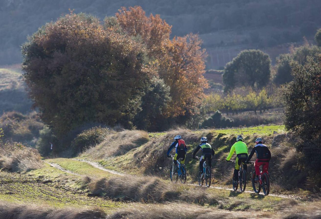 Los ciclistas disfrutaron de una estupenda carrera.