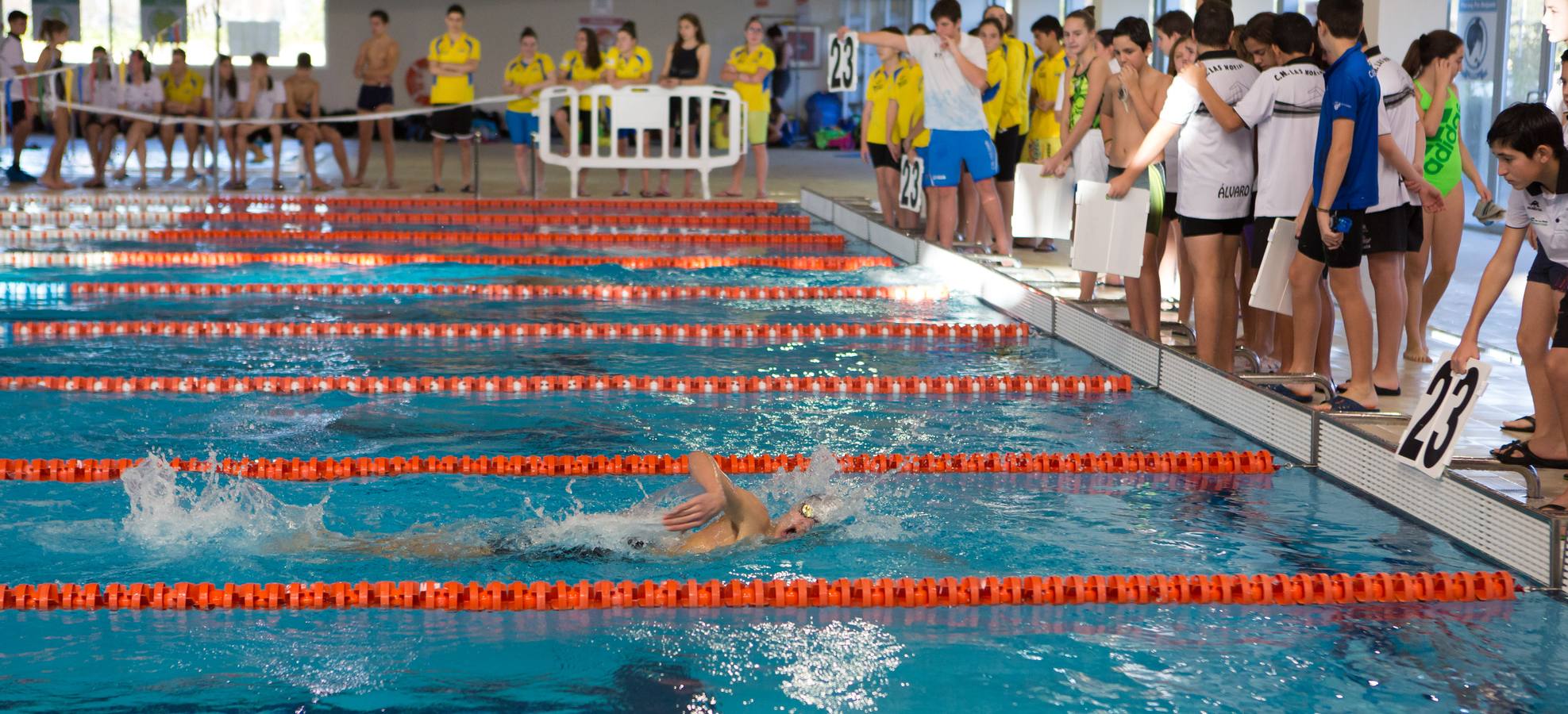 El Club de Natación (CN) Rivalia, de Calahorra, se ha proclamado ganador por clubes, en la categoría Master, del XXXIV Campeonato de La Rioja Absoluto de Invierno y VI Campeonato Máster de Natación, celebrado en el Complejo Adarraga