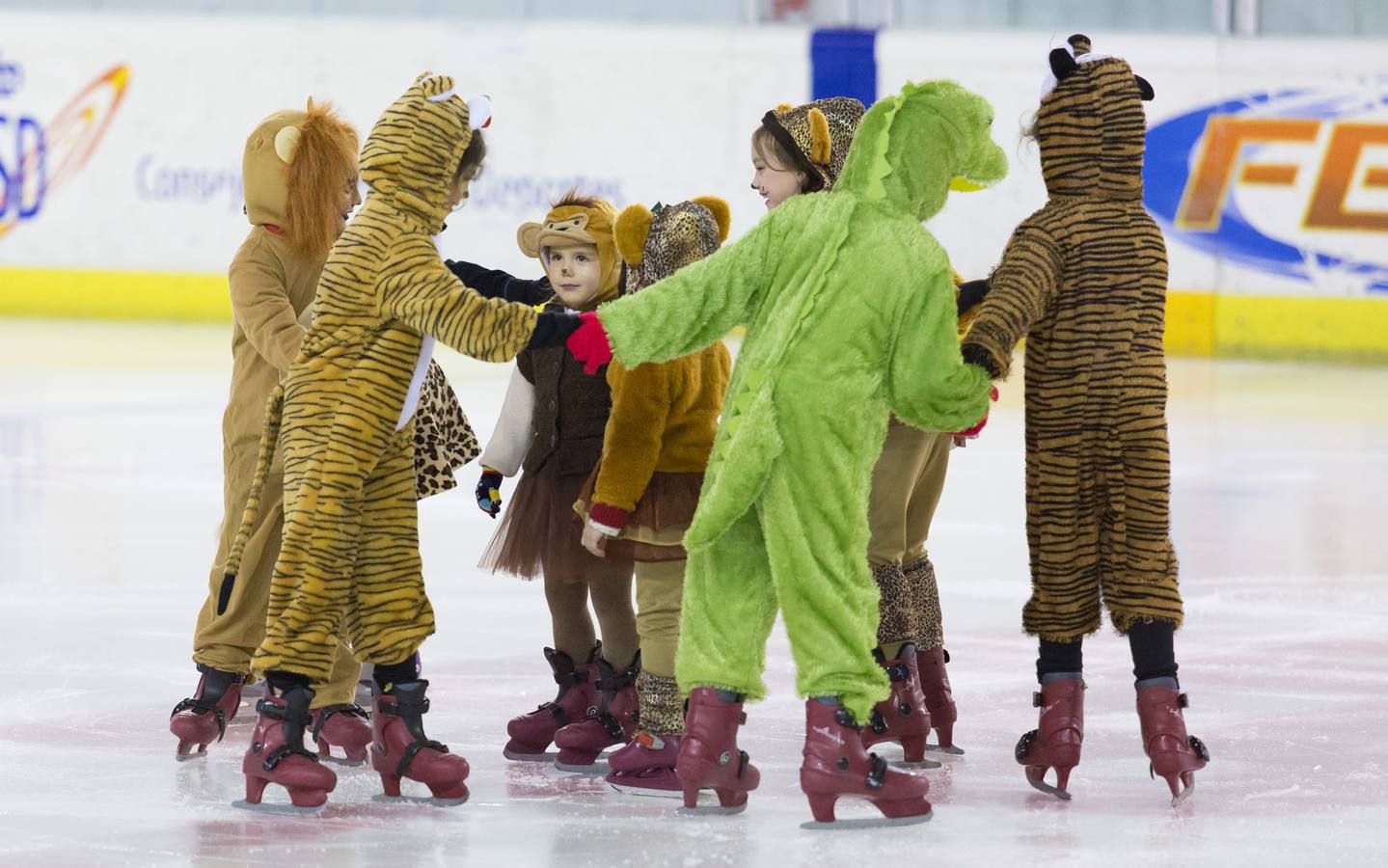 Gala de Navidad del Club de Hielo Artlog