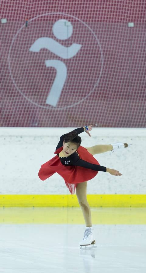 Gala de Navidad del Club de Hielo Artlog