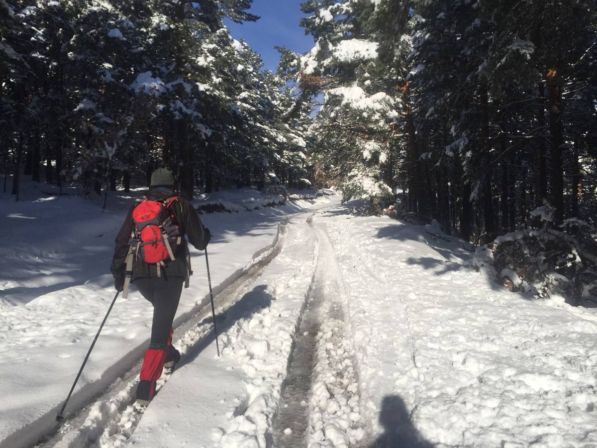 Un paseo con raquetas por la nieve de El Rasillo