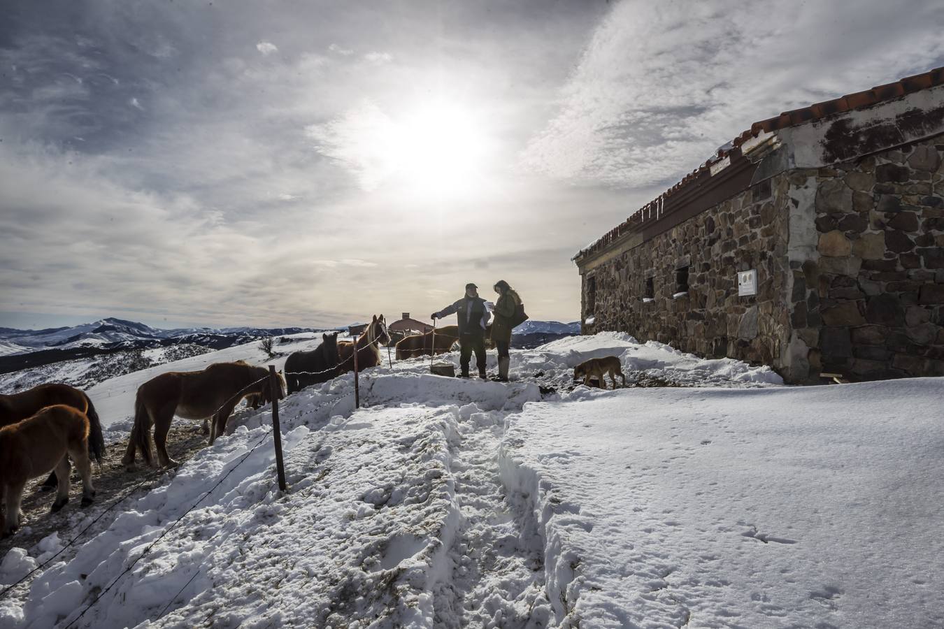 Así es la vida en Santa Marina, uno de los núcleos más altos de La Rioja, tras la gran nevada del pasado fin de semana