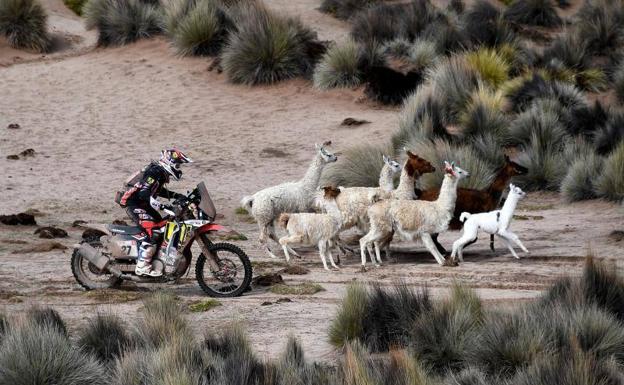 Una curiosa estampa del Dakar. 