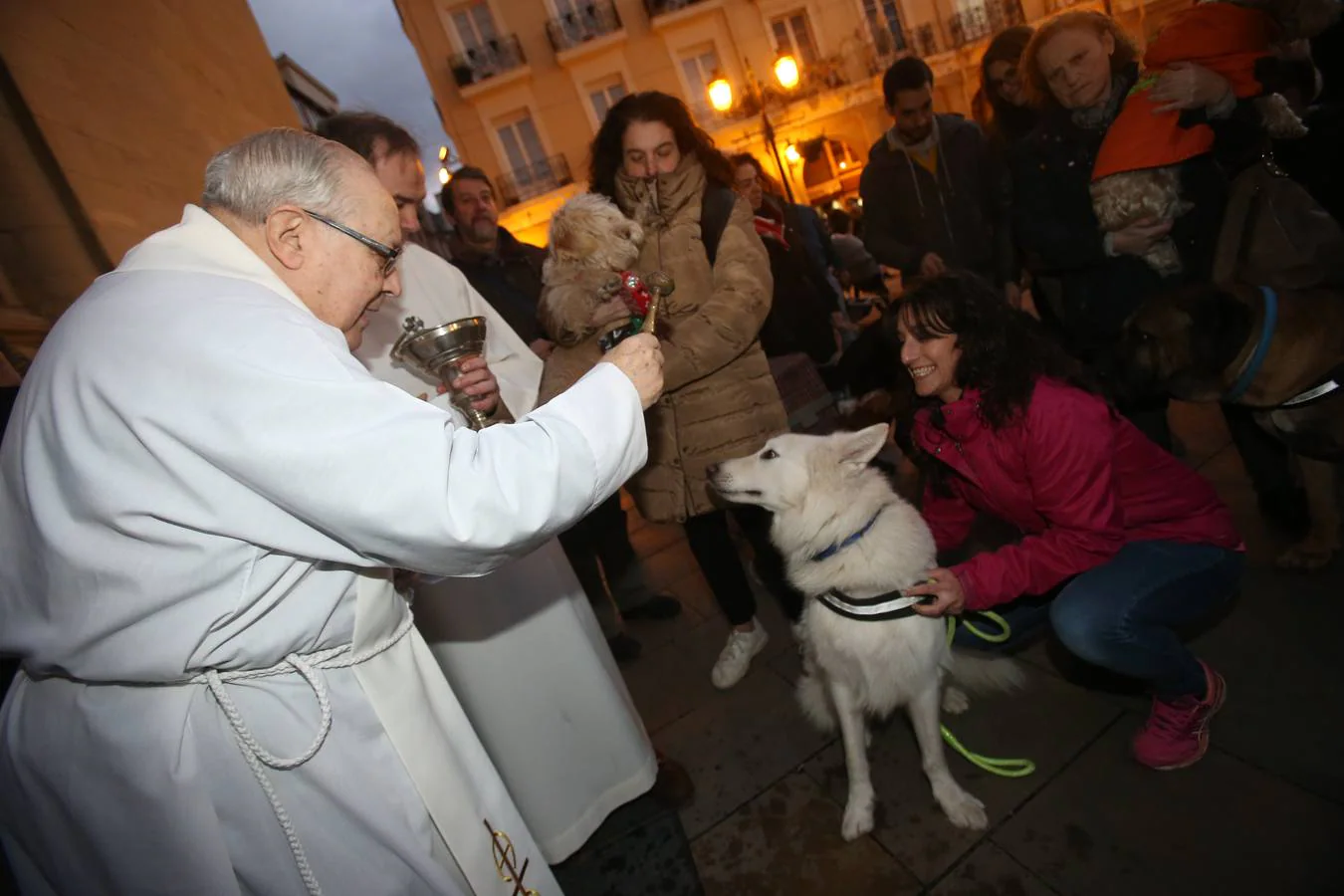 Numerosas personas acudieron con sus mascotas a la Plaza del Mercado para que fueran bendecidas frente a La Redonda