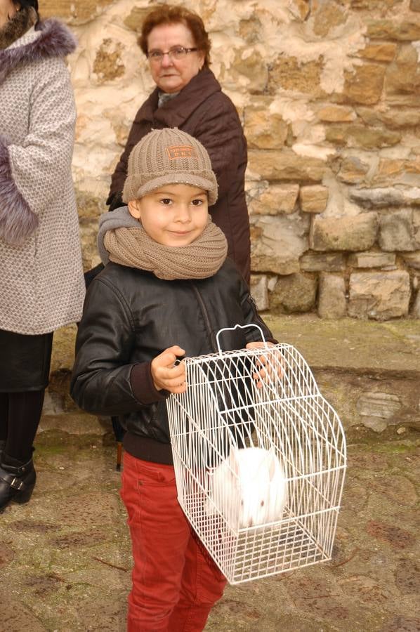 El municipio salió en procesión y bendijo a los animales