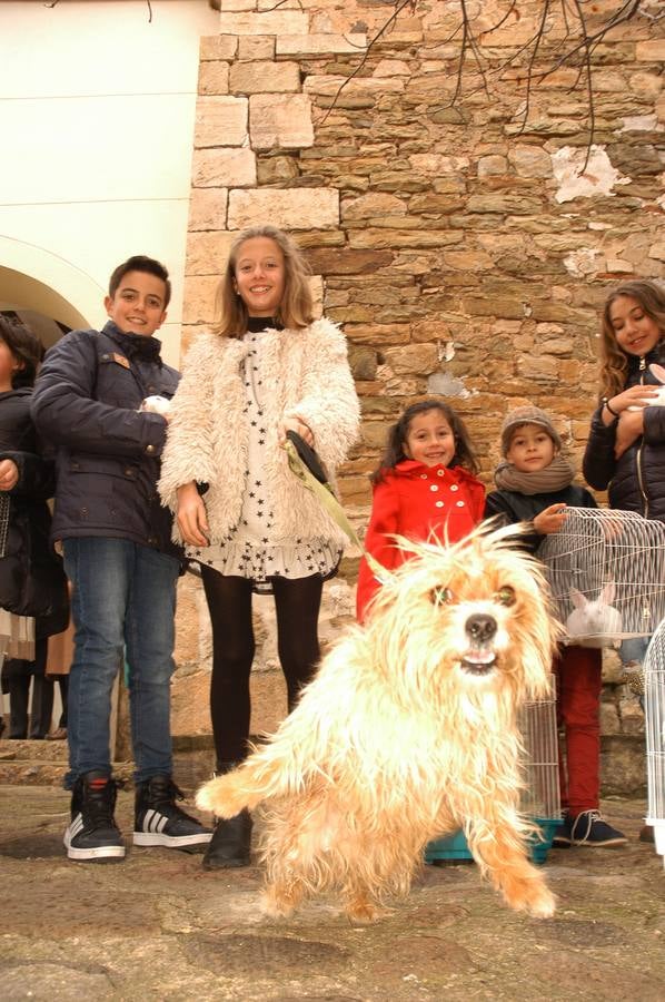 El municipio salió en procesión y bendijo a los animales