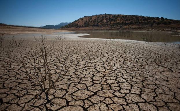 Las altas temperaturas castigaron de forma notable la Reserva de Guadalteba (Málaga). 