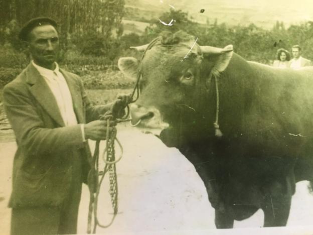 La Retina: el abuelo 'Fortuna' guía al toro de Sorzano