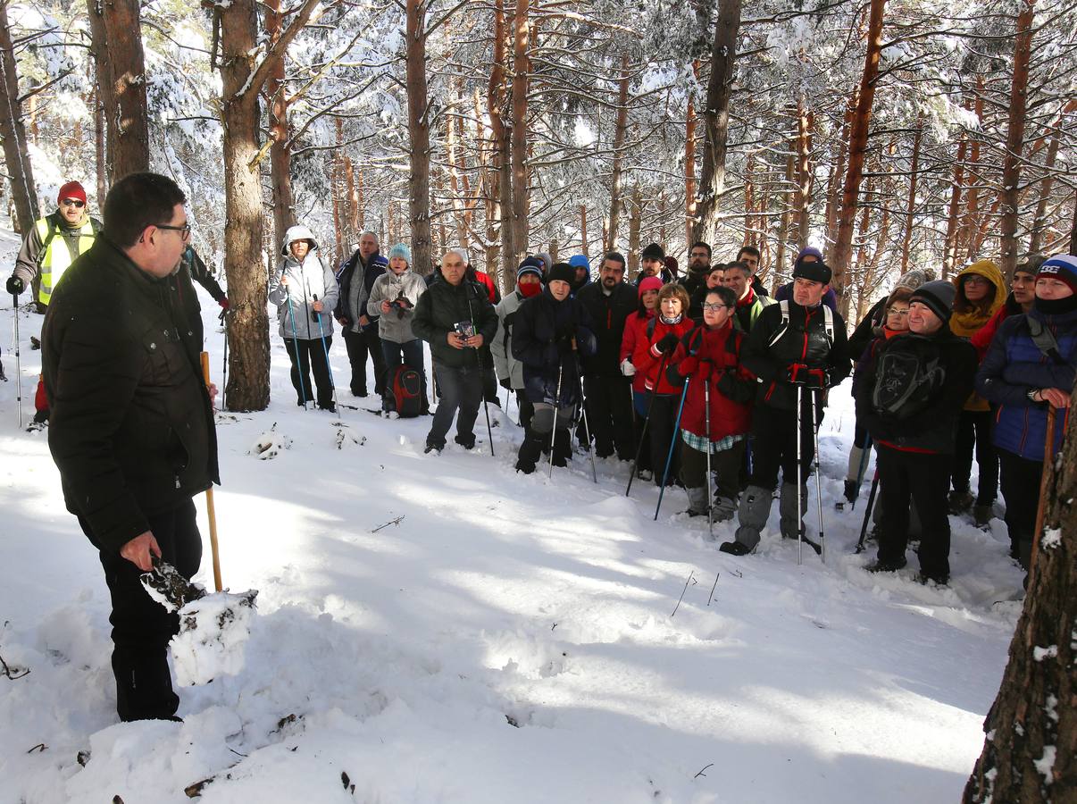 Se ha realizado una demostración de cómo se hacía el llenado de las Neveras en la antigüedad y se ha degustado un granizado de vino y unas patatas con chorizo