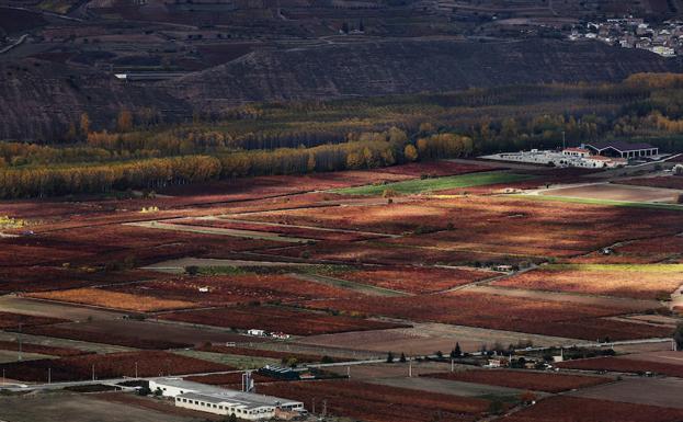 Vista aérea de viñedos y entorno de Uruñuela. 