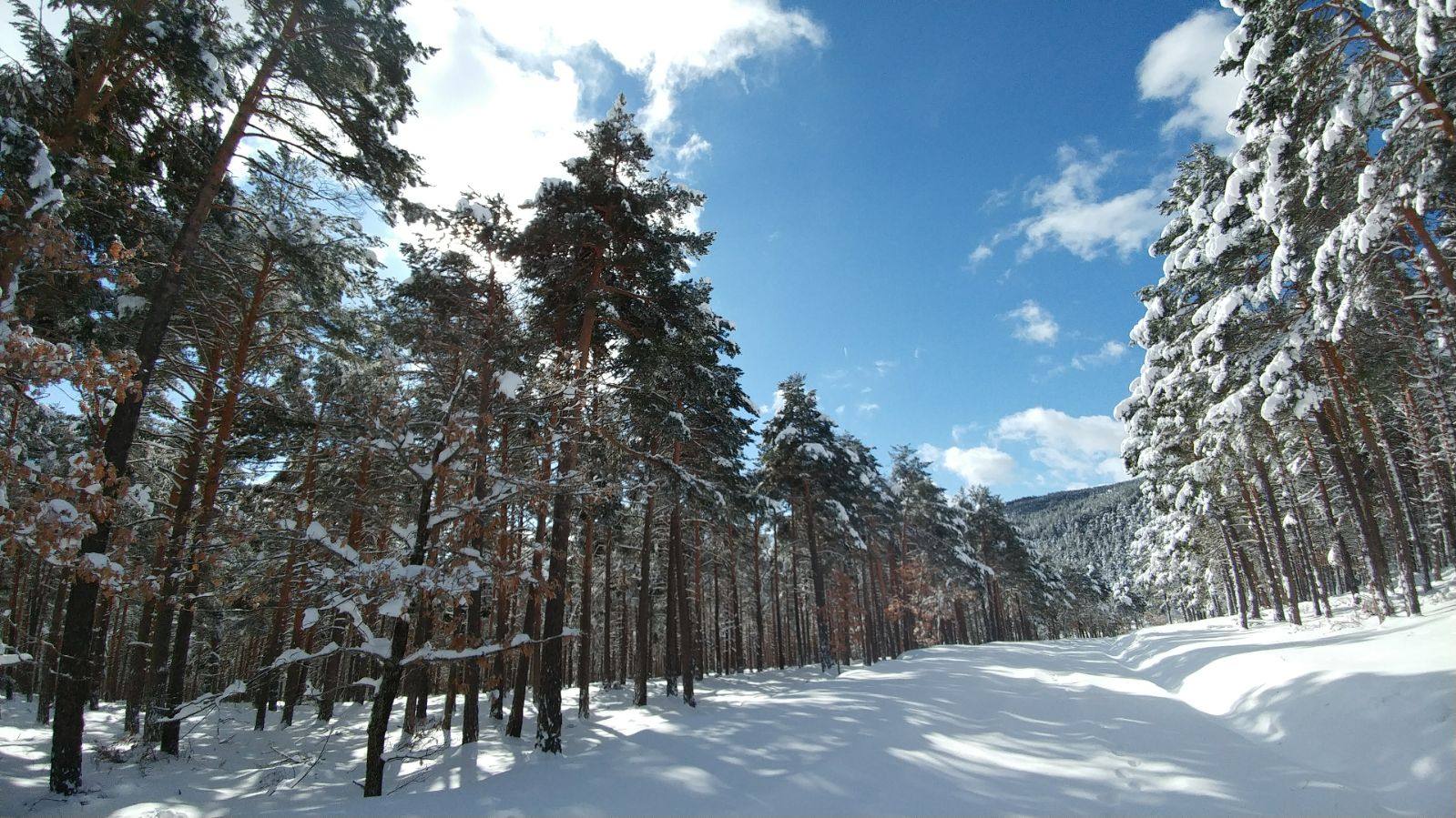 Imágenes de varios puntos de La Rioja cubiertos de nieve.